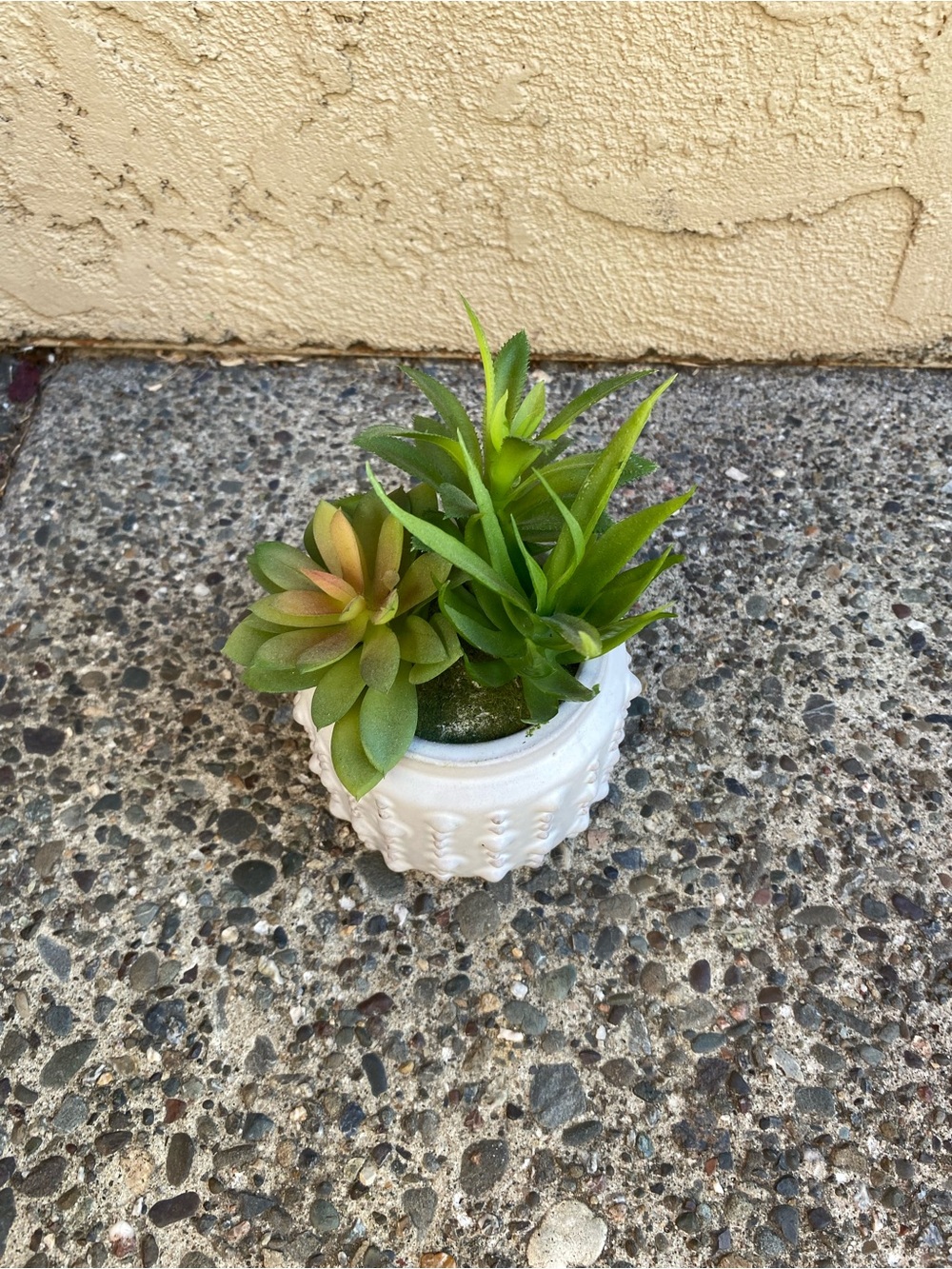 White Ceramic Succulent Planter with Green Faux Succulents - Picture 5 of 5